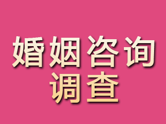 武安婚姻咨询调查